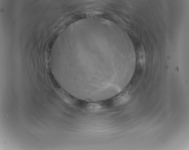 X0000076310519200610271942