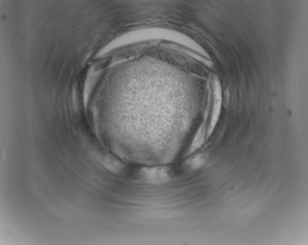 X0000076310520200610271942