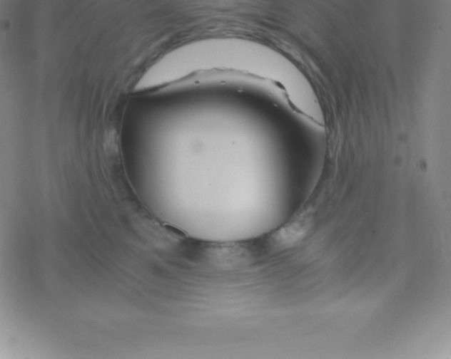 X0000076310521200610271942