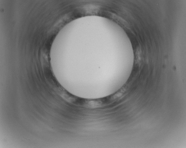 X0000076310522200610271942