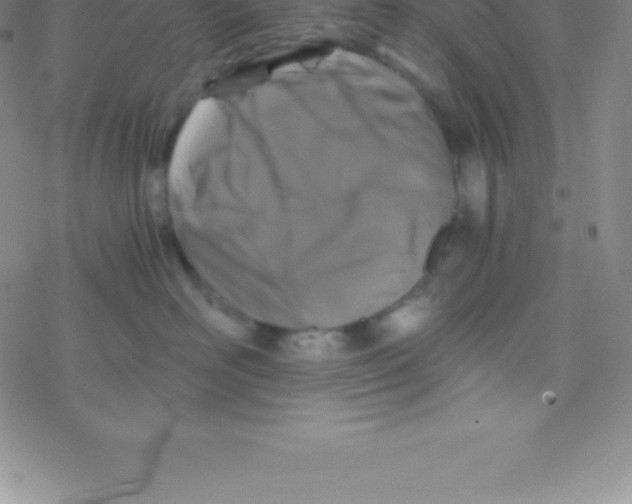 X0000076310526200610271942