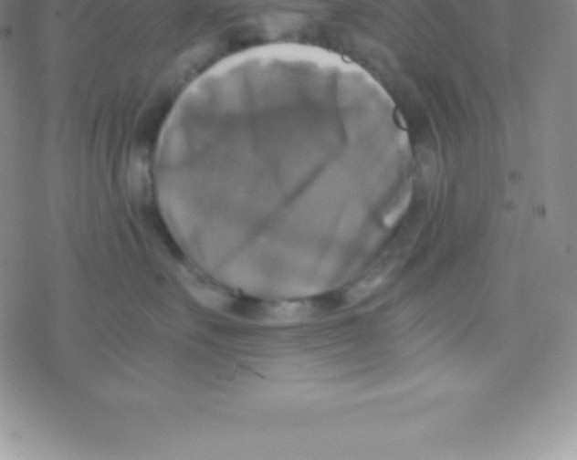 X0000076310527200610271942