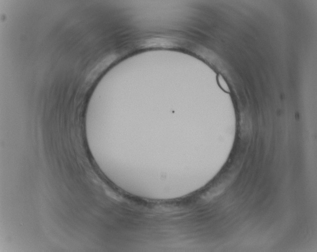 X0000076310529200610271941