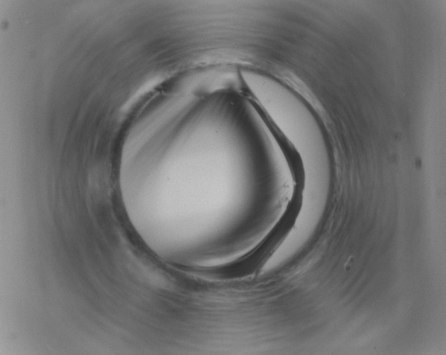 X0000076310530200610271941