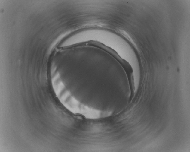 X0000076310531200610271941