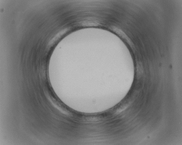 X0000076310533200610271941