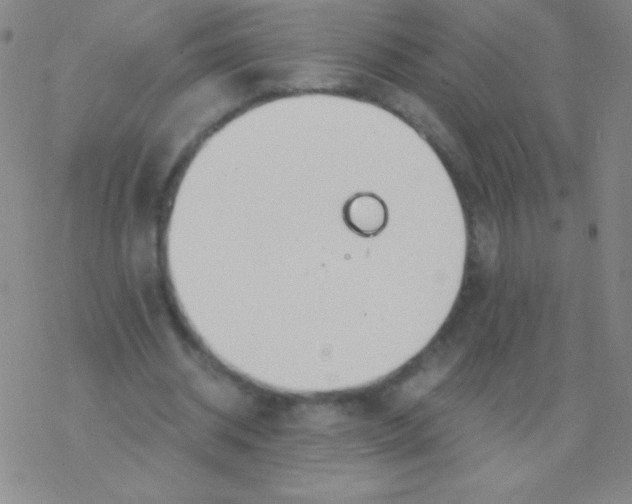 X0000076310534200610271941