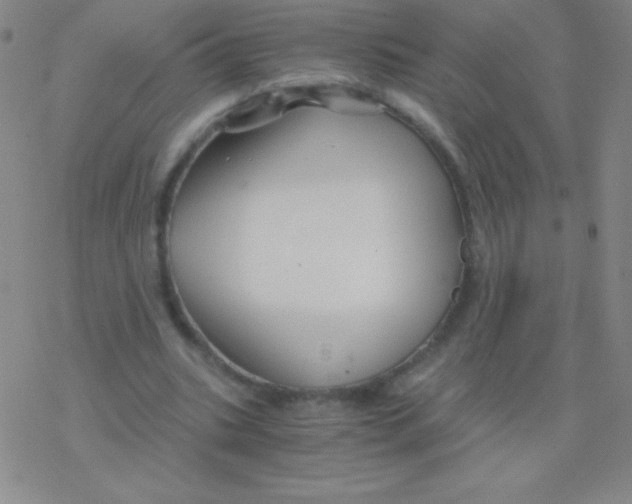 X0000076310535200610271941