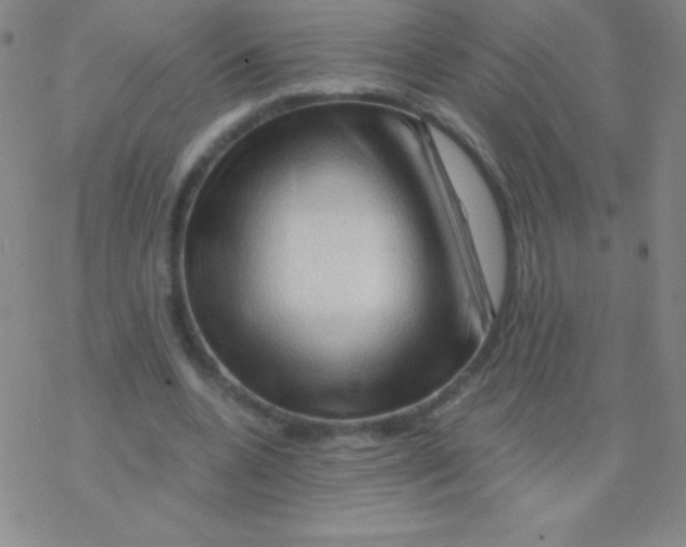 X0000076310536200610271941