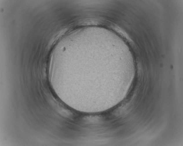 X0000076310537200610271942