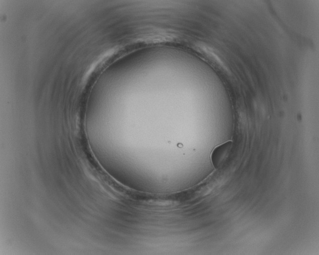 X0000076310539200610271942