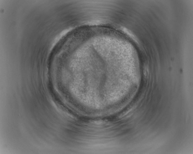 X0000076310540200610271942