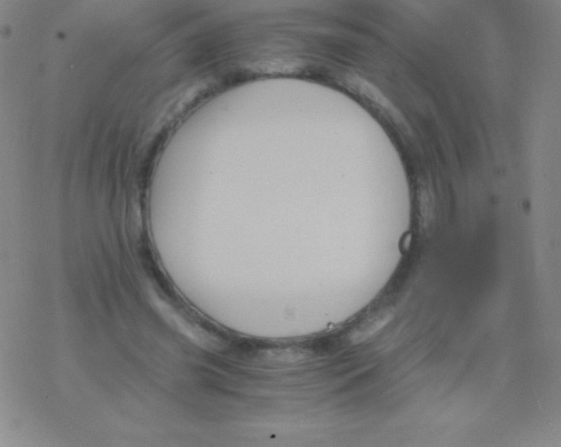 X0000076310541200610271942