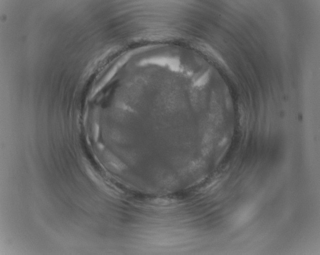 X0000076310542200610271942