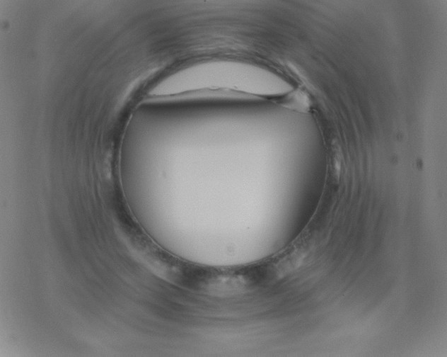 X0000076310543200610271942