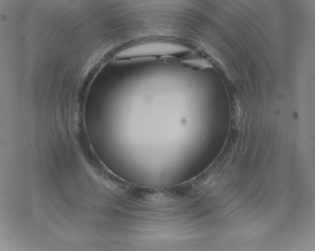 X0000076310544200610271942