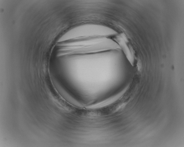 X0000076310546200610271942