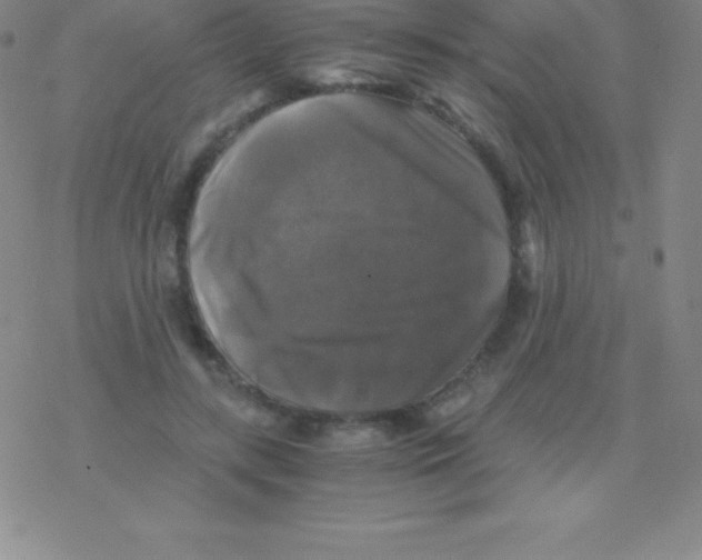 X0000076310547200610271942