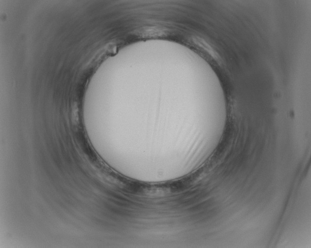 X0000076310549200610271942