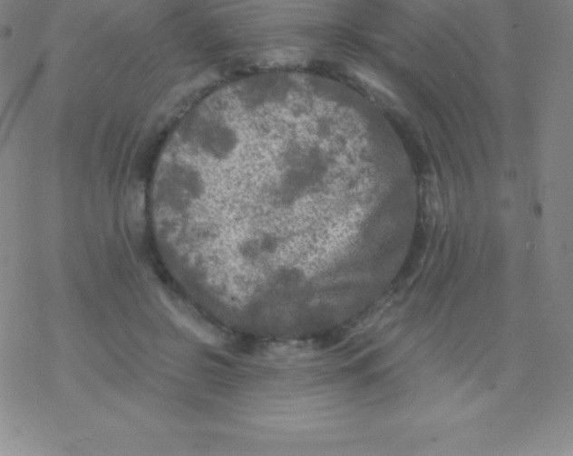 X0000076310550200610271942