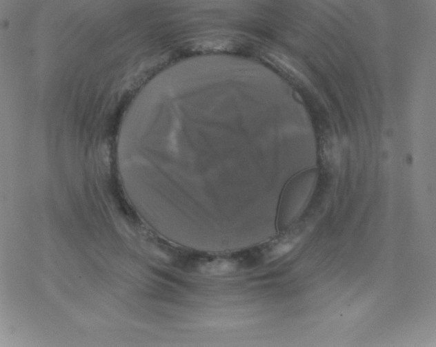 X0000076310551200610271942