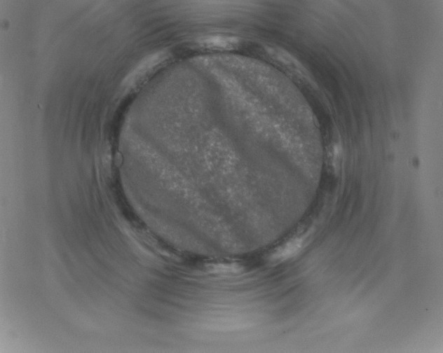 X0000076310552200610271942