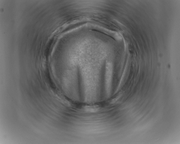 X0000076310556200610271942