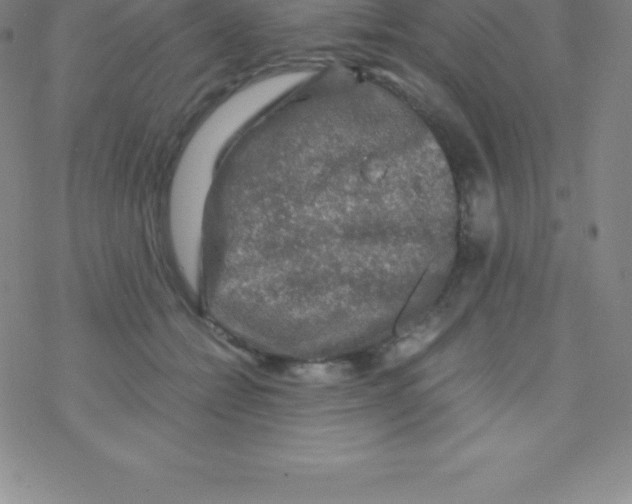 X0000076310558200610271942