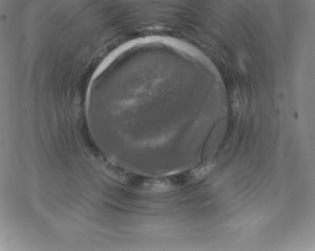 X0000076310559200610271942