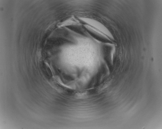 X0000076310560200610271942