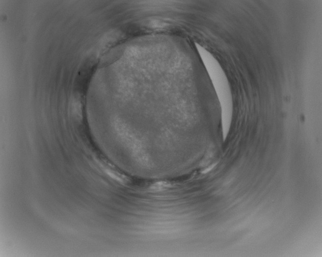 X0000076310562200610271942