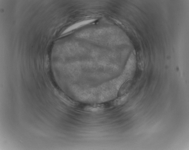 X0000076310563200610271942