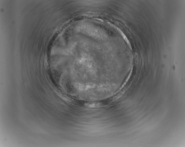 X0000076310564200610271942