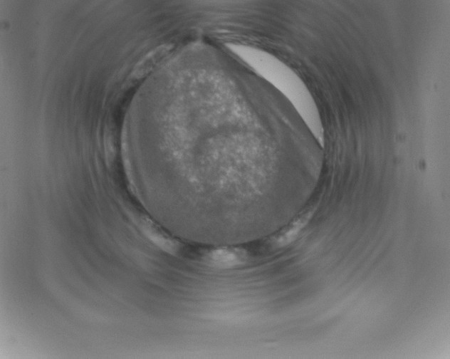 X0000076310566200610271942