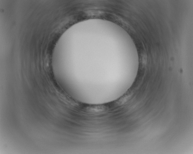 X0000076310567200610271942