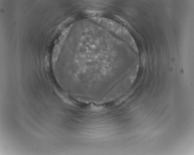 X0000076310570200610271942