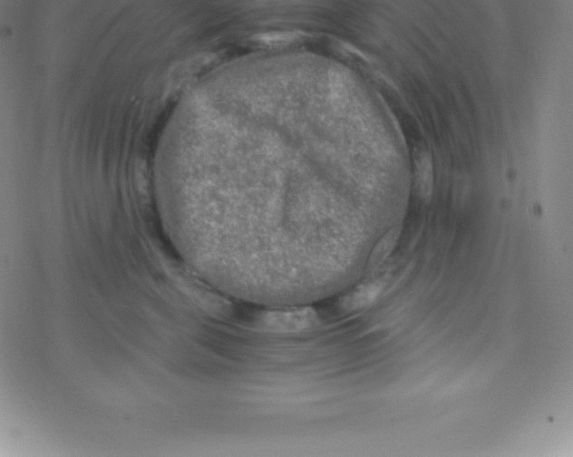 X0000076310571200610271942