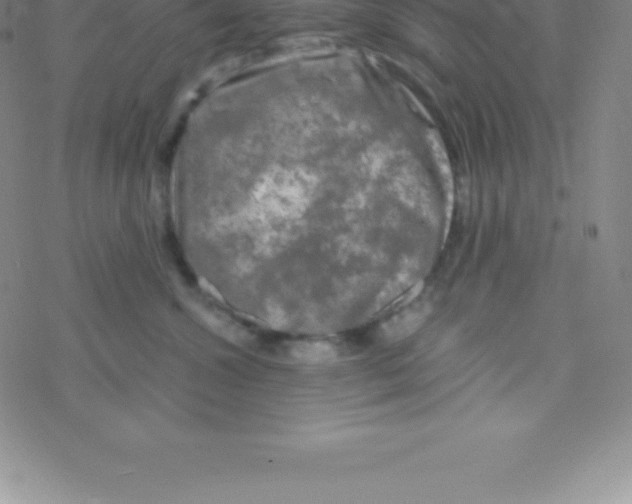 X0000076310572200610271942