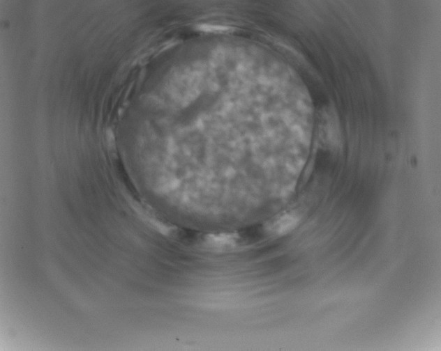 X0000076310573200610271942