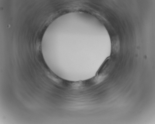 X0000076310574200610271942