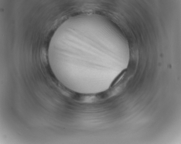 X0000076310575200610271942