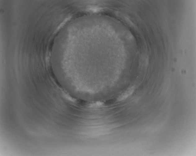 X0000076310576200610271942