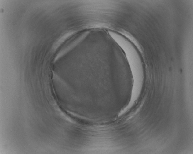 X0000076310577200610271941