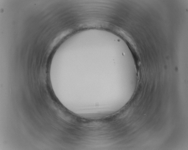 X0000076310578200610271941