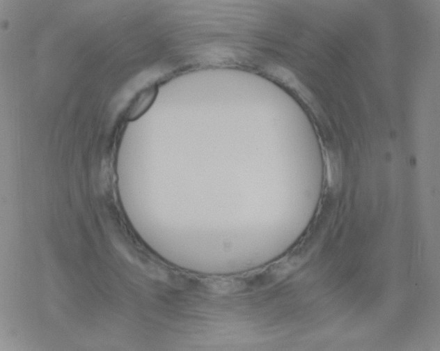 X0000076310579200610271941