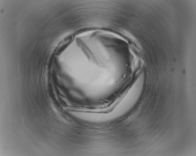 X0000076310580200610271941