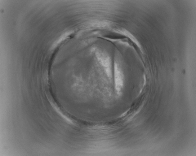 X0000076310581200610271941