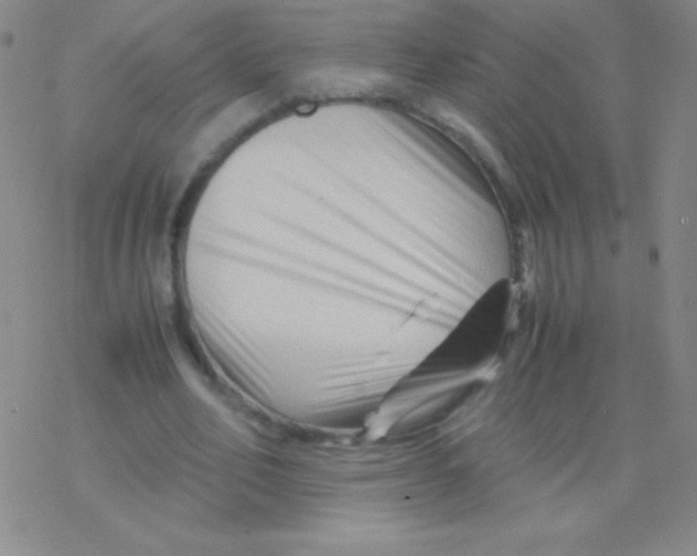 X0000076310582200610271941