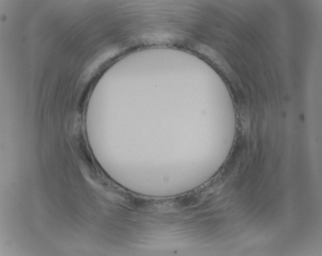 X0000076310583200610271941