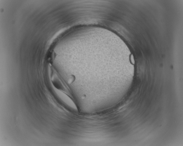 X0000076310584200610271941